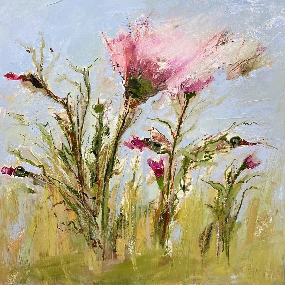 "Kolb Farm Thistle" 40"x40", oil on canvas.