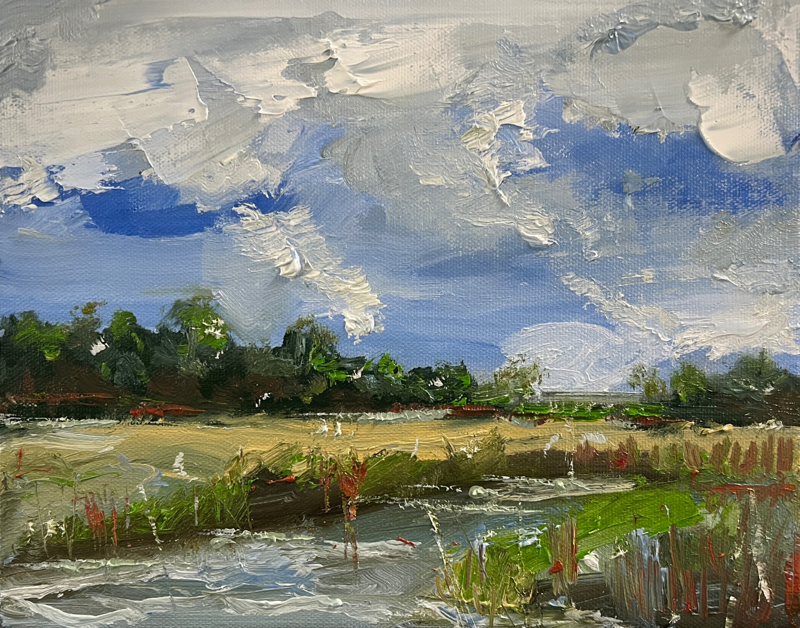 "Jekyll Island" 8"x10" oil on linen, en plain air. Available.