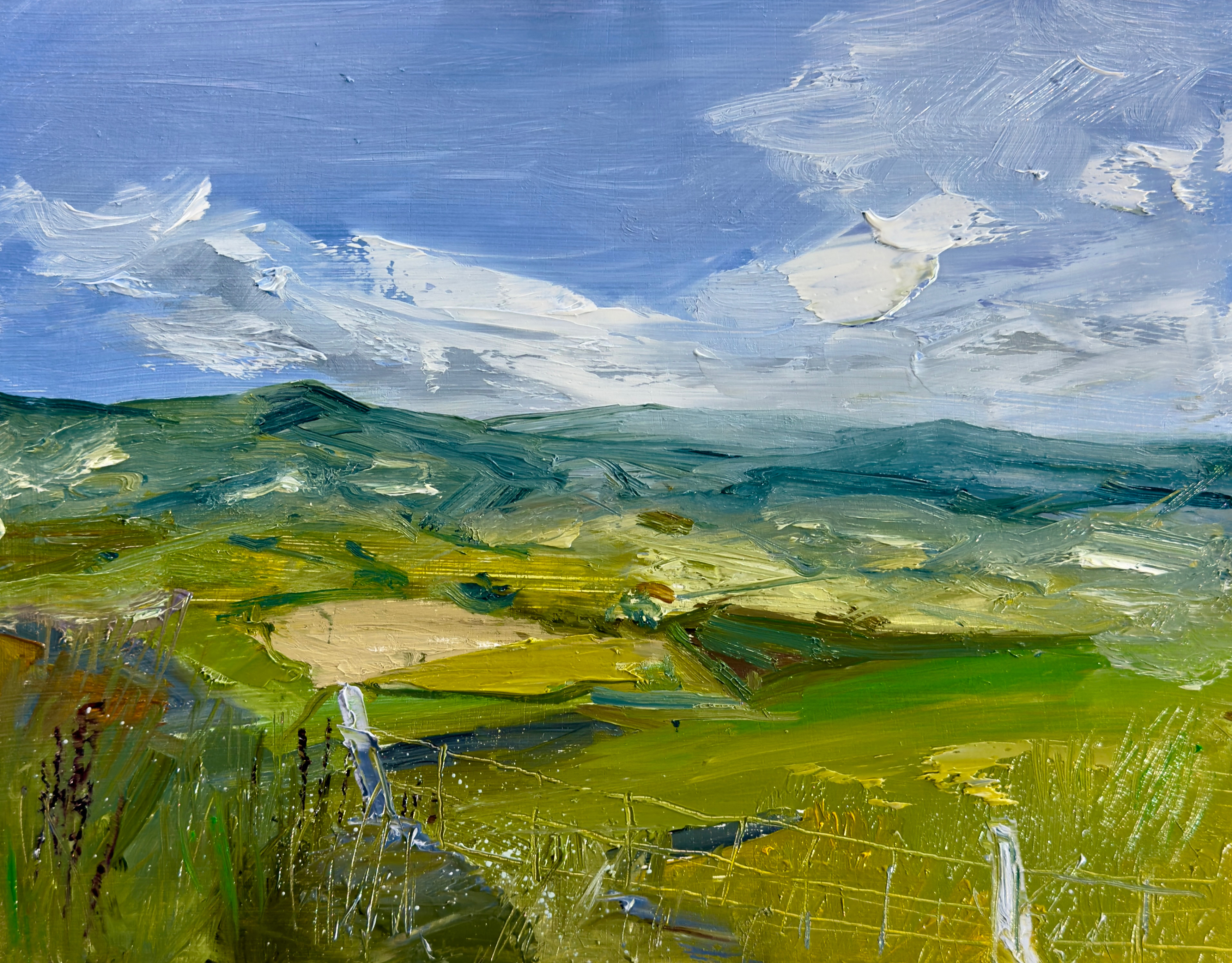 Ballyduff, Ferns, Co. Wexford, Ireland. 8" x 10", oil on wood panel.