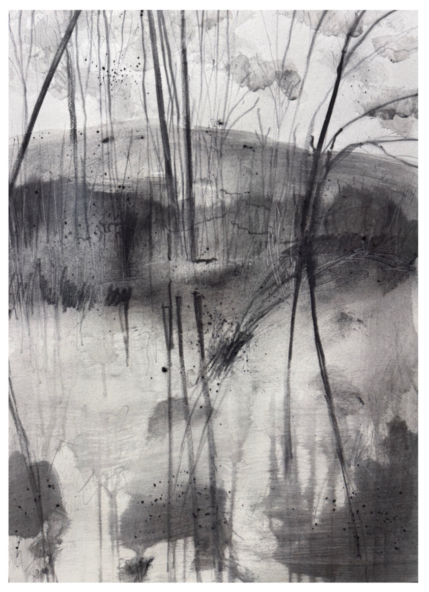 "The Banks" A series of drawings and paintings. 22" x 30", charcoal on Arches Watercolor paper.