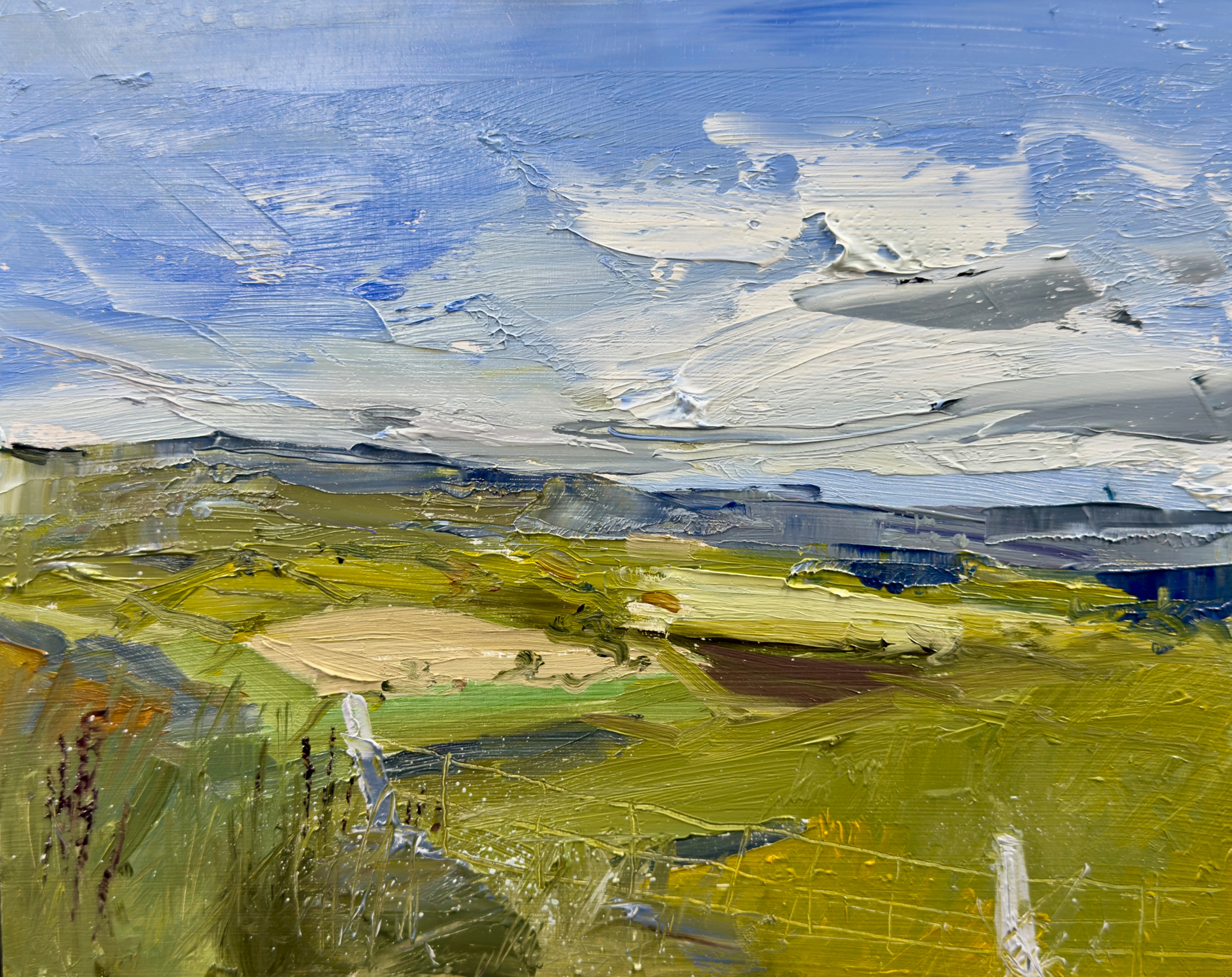 Ballyduff, Ferns, Co. Wexford, Ireland. 8" x 10", oil on wood panel.