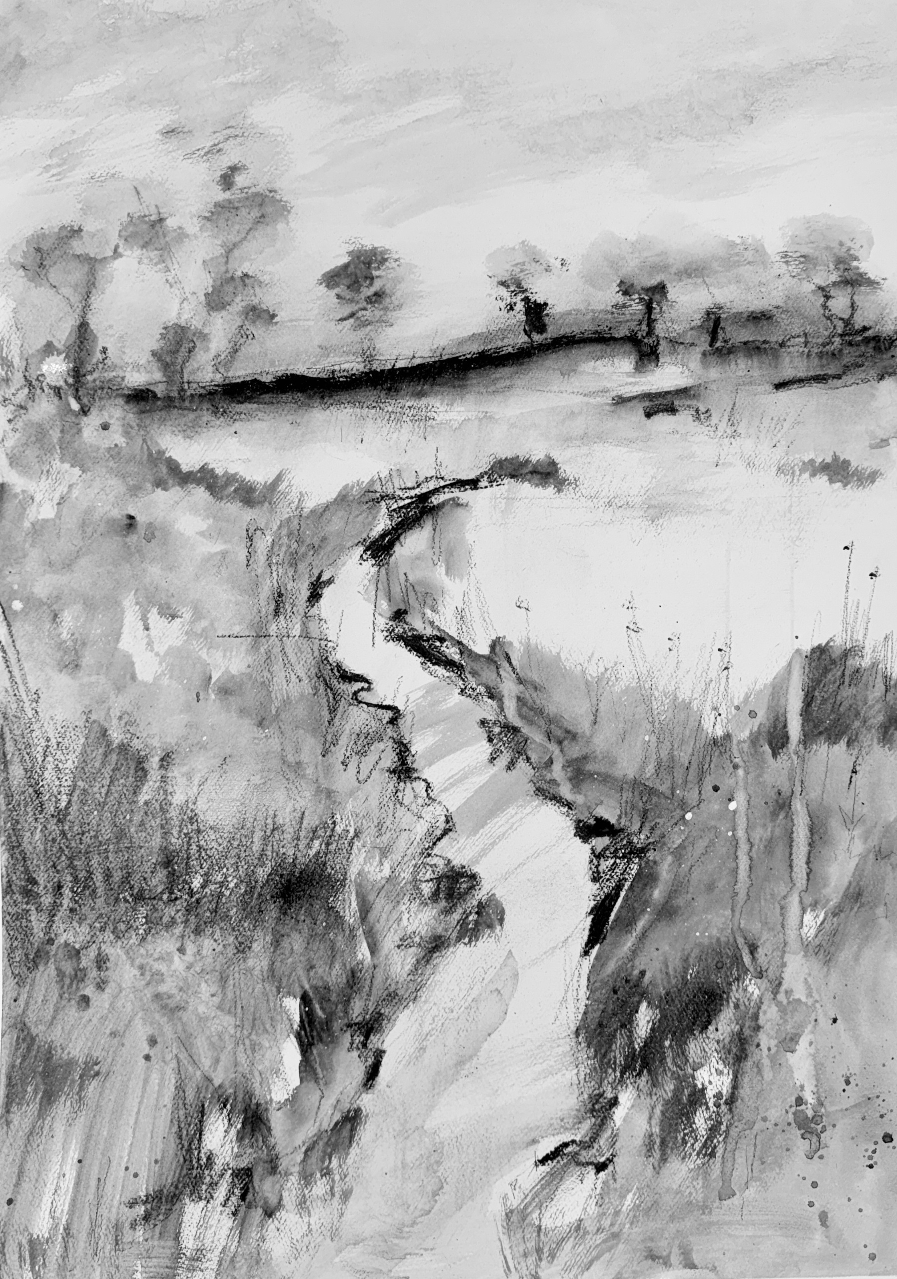 "The Snow Is Falling" II, 22x30" Charcoal on Arches Watercolor Paper.